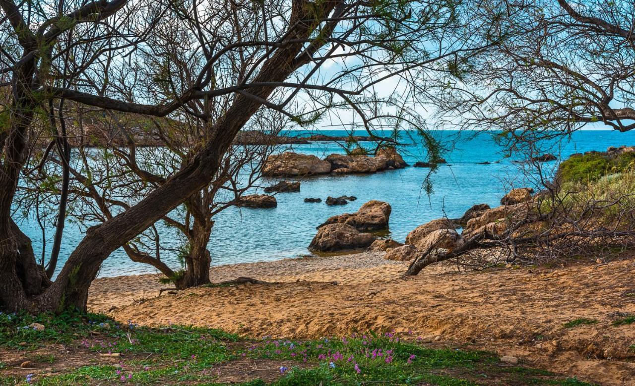 Thea Artemis Villa Kato Daratso Dış mekan fotoğraf